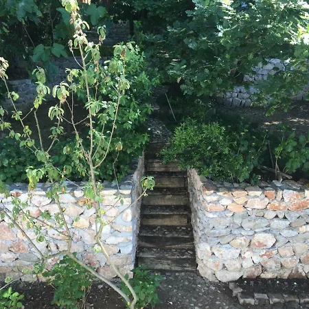 Xdxdxd * Sakarya